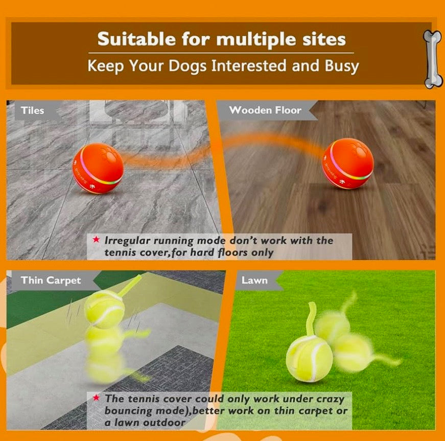 Interactive Doggy Ball